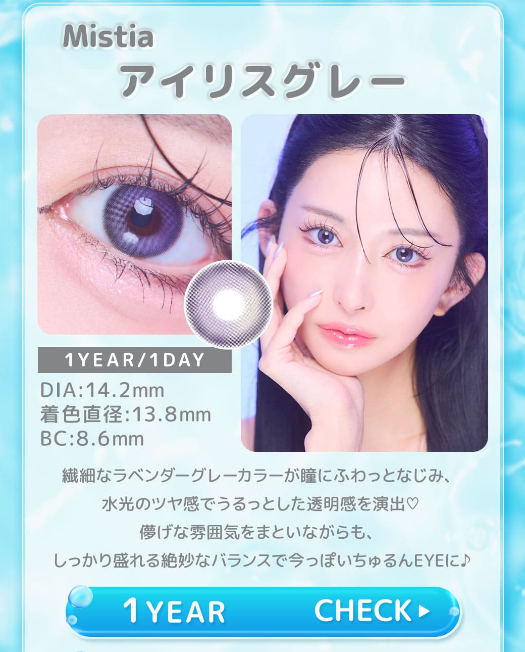 Mistia アイリスグレー1年