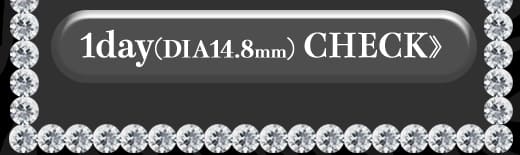 Kingdom17ブラウン1DAY