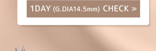 Kingdom17ブラウン1年15mm