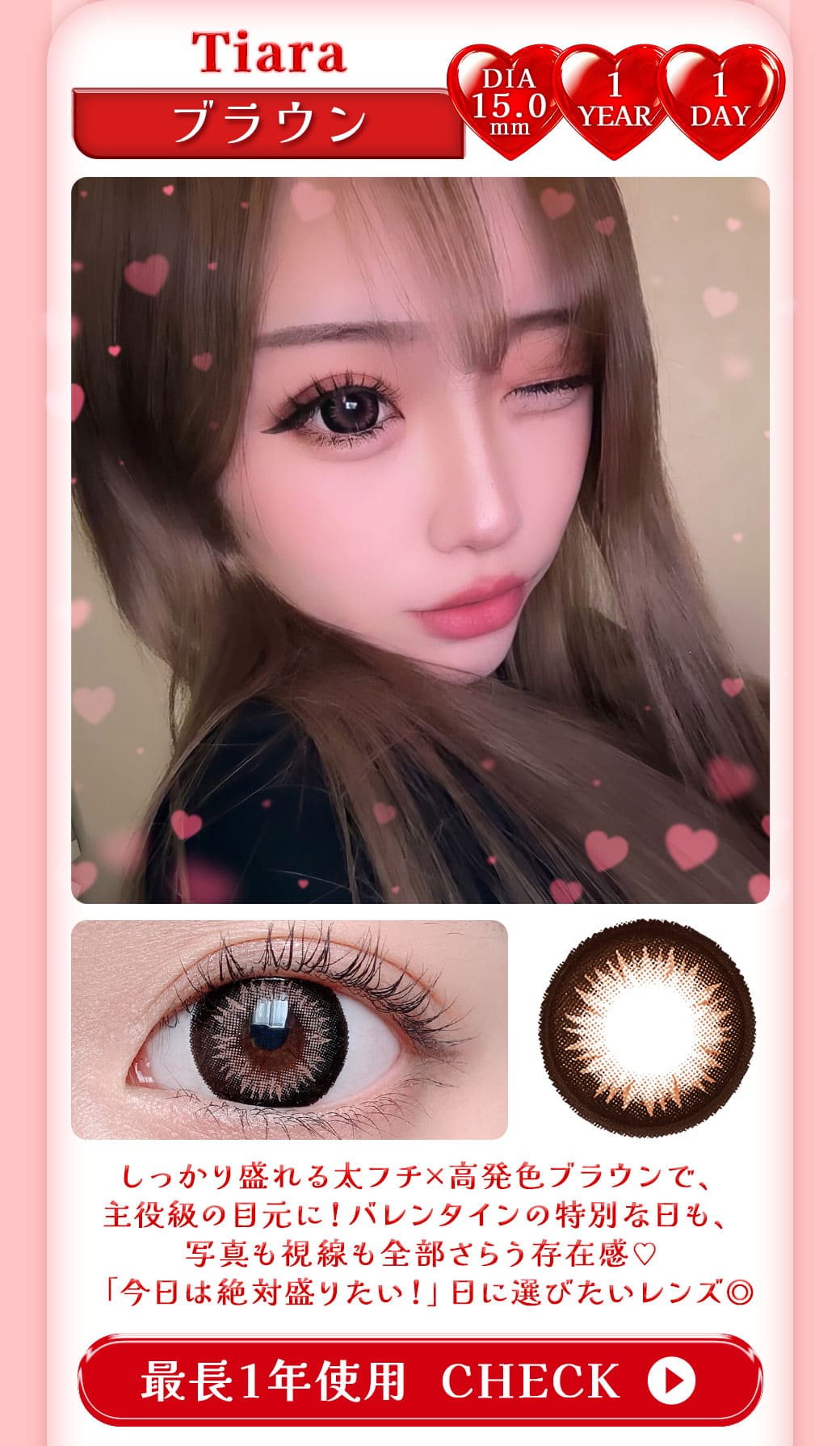 Tiaraブラウン1年