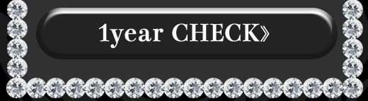 Queen11グレー1年