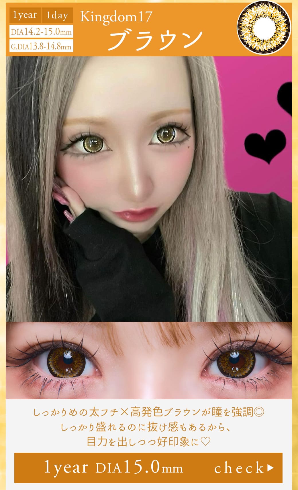 Kingdom17ブラウン1年15.0mm