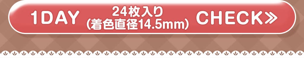 Queen ブラウン1DAY24枚入り