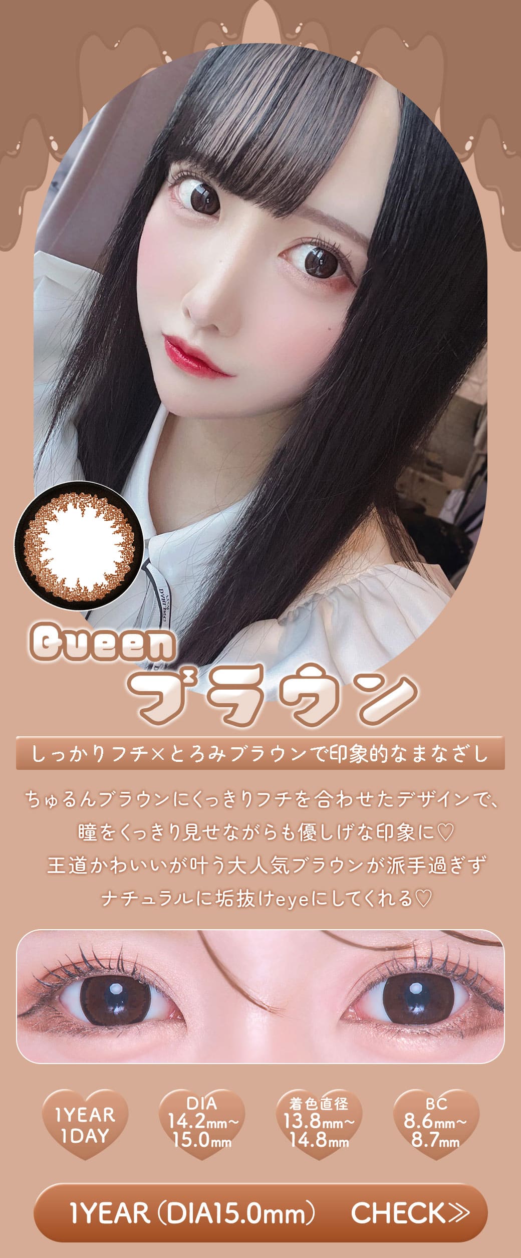 Queenブラウン1年15mm
