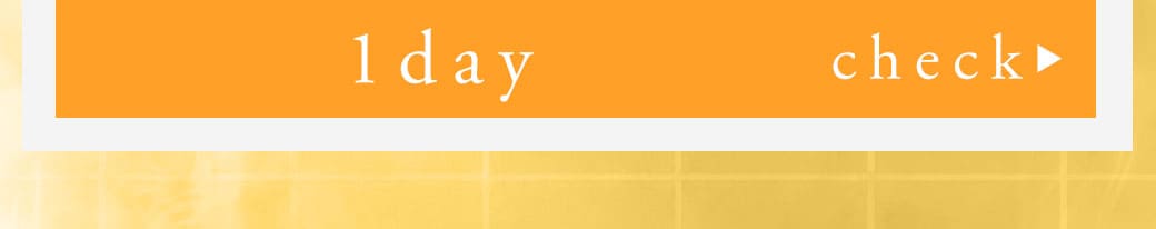 Kingdom17ブラウン1day