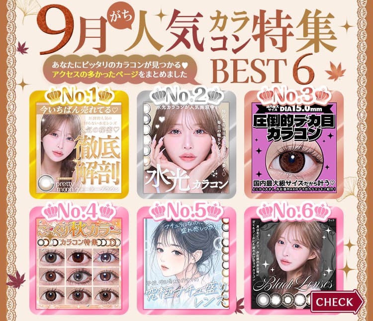 特集ランキング