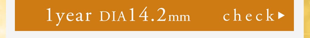 Kingdom17ブラウン1年14.2mm
