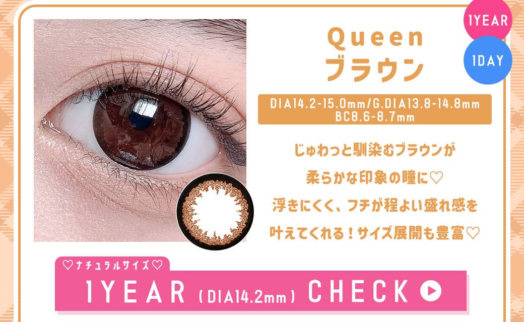 Queenブラウン1年DIA14.2mm