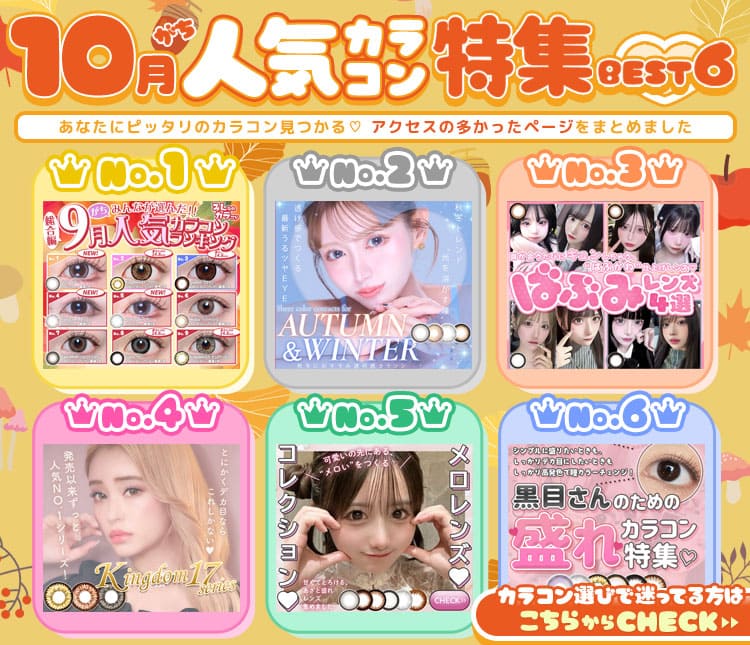 特集ランキング