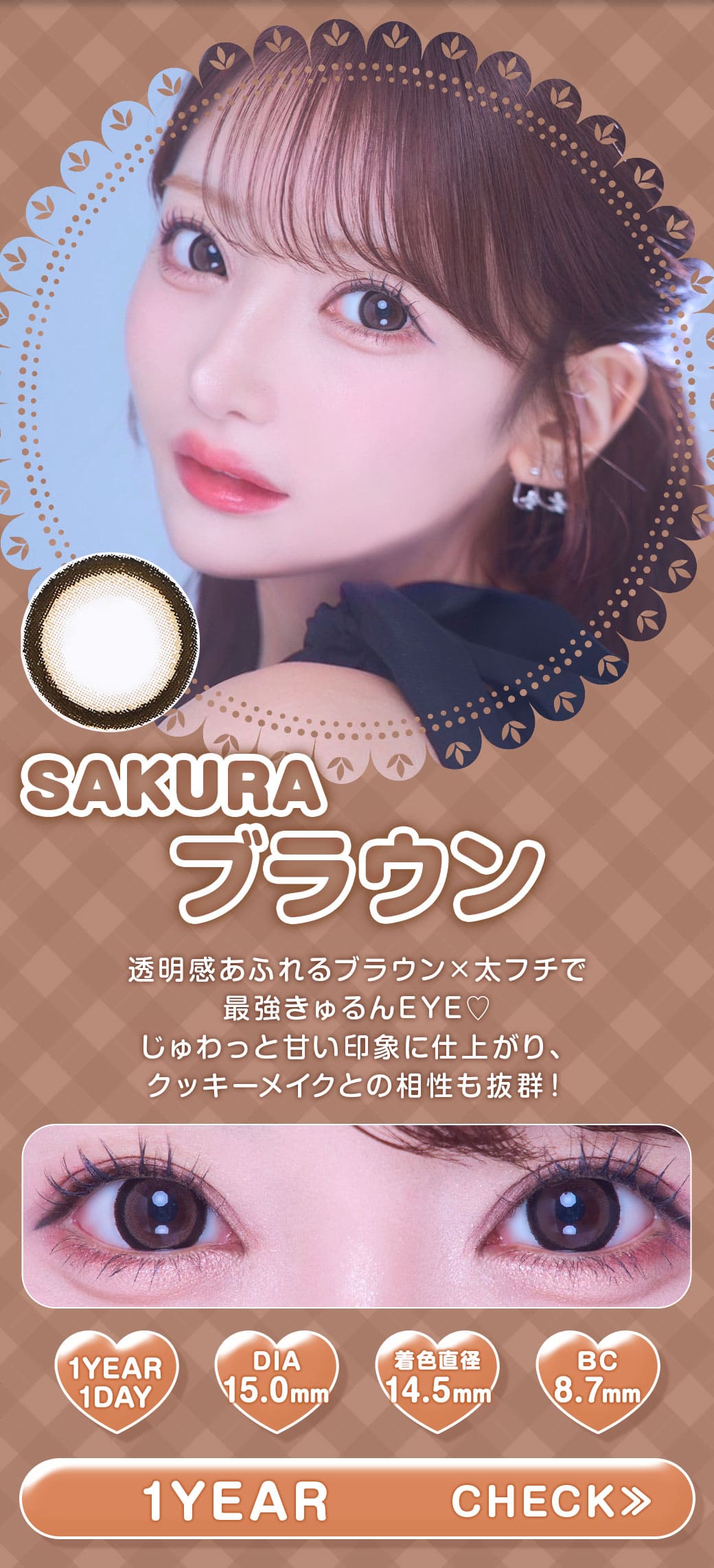 SAKURA ブラウン1年