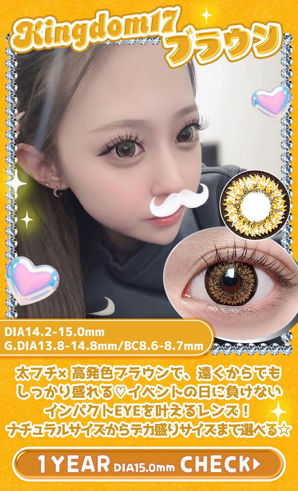 Kingdom17ブラウン1年15.0mm