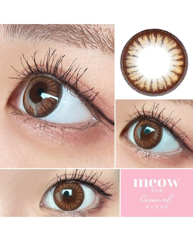 meow 1day [ミャオ ワンデー] 【DIA 14.2～5mm】【24枚(1箱12枚