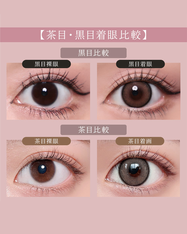 ワンデープルミエール クレームブリュレ [Premiere] DIA15.0mm【10枚