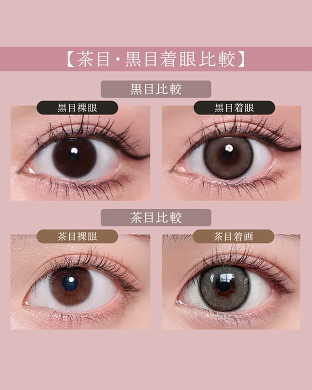 ワンデープルミエール アールグレイ [1day Premiere] DIA15.0mm【10枚
