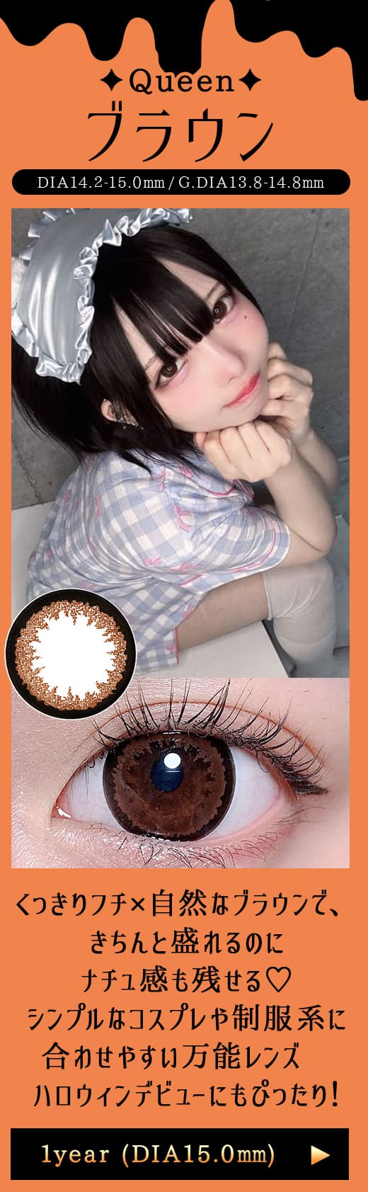 Queenブラウン1年DIA15.0mm