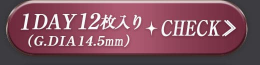 Tiara グレー1DAY12枚