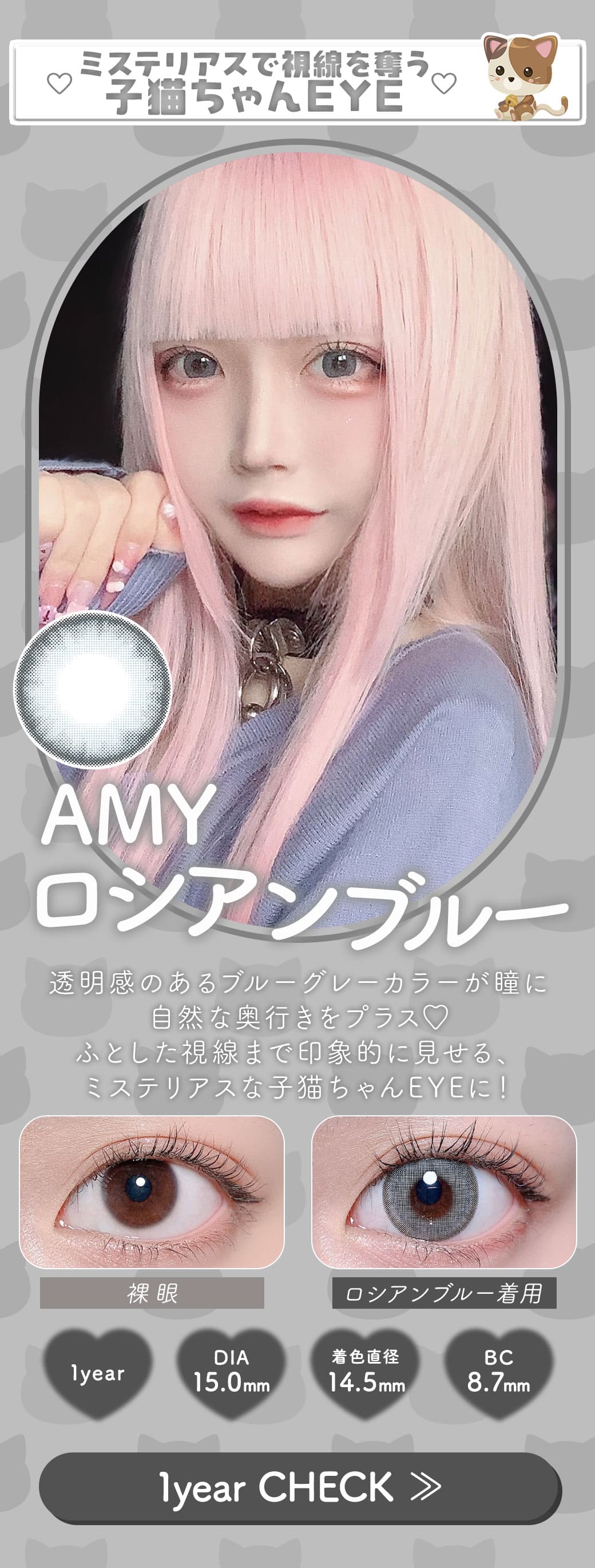 AMYロシアンブルー