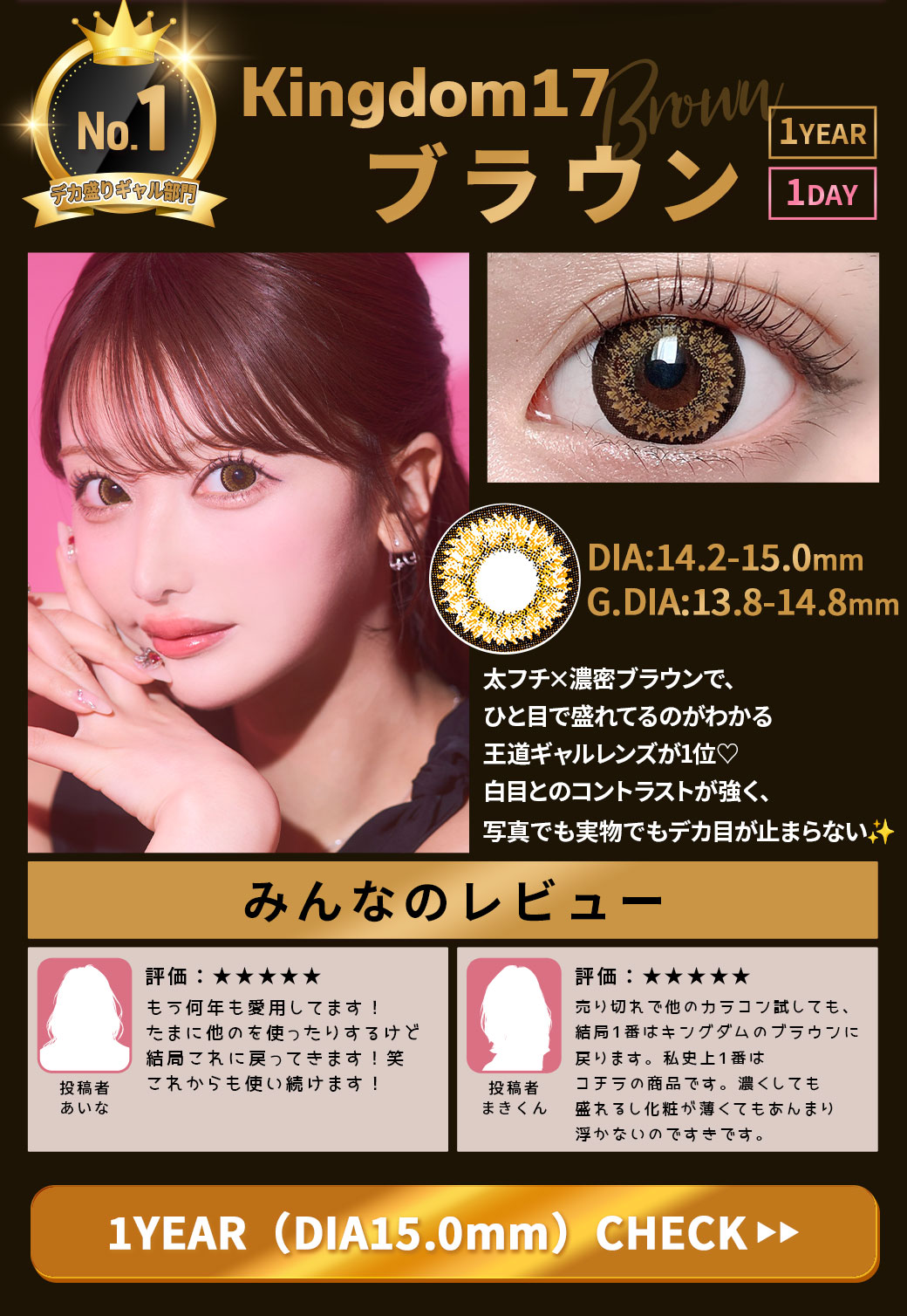 キングダムKingdom17ブラウン1年