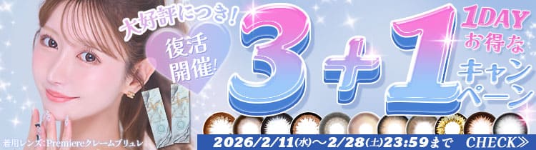 ワンデーキャンペーン