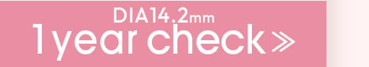 Queenブラウン1DAY