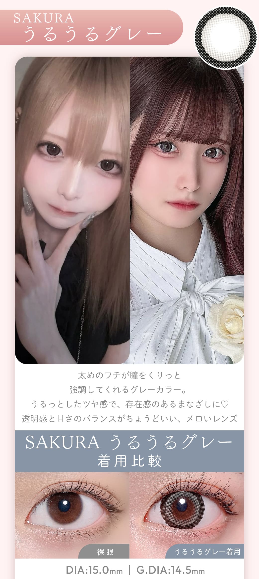 SAKURA うるうるグレー