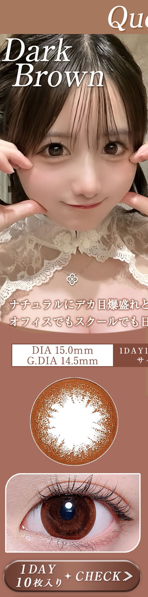 Queenダークブラウン1DAY10枚
