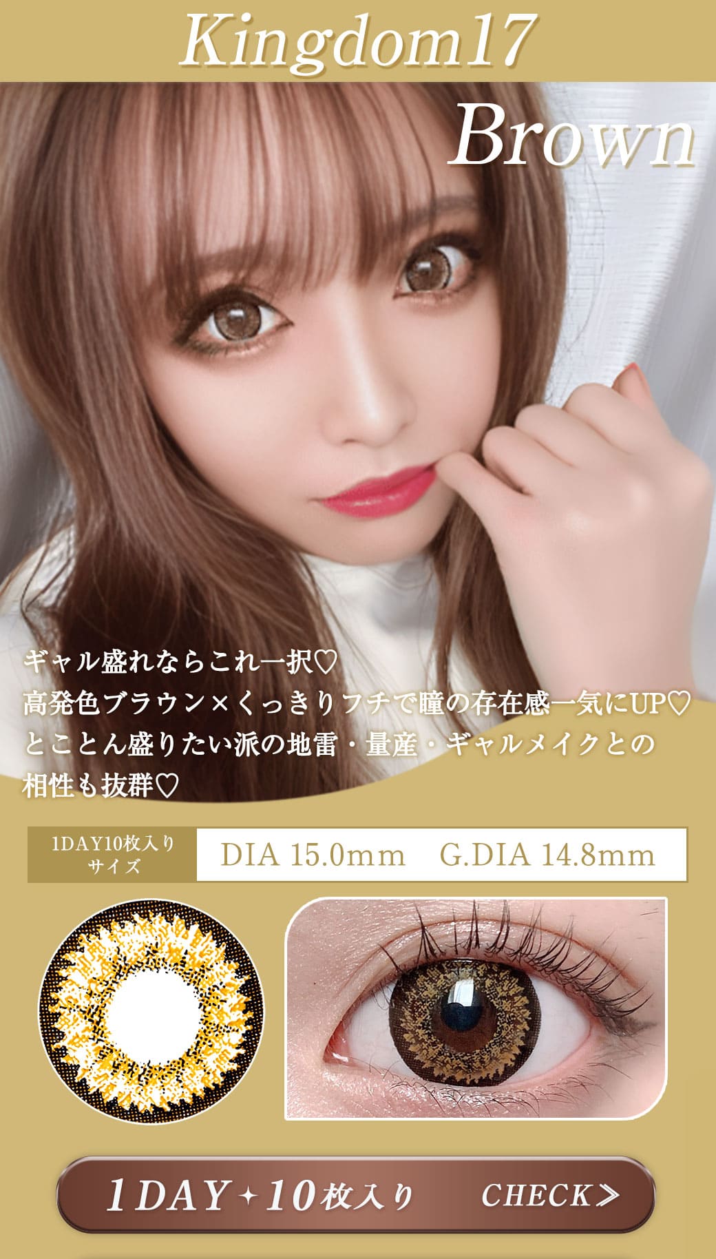 Kingdom17ブラウン1DAY10枚