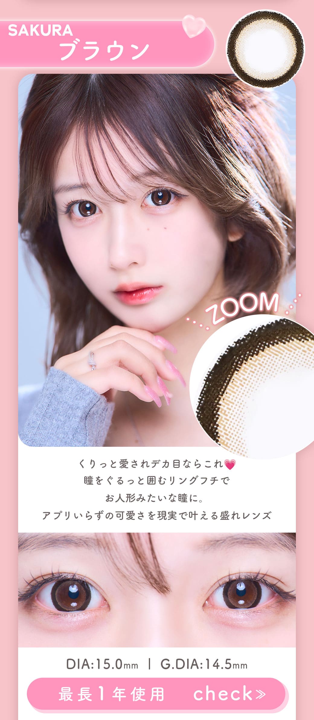 SAKURAブラウン1年