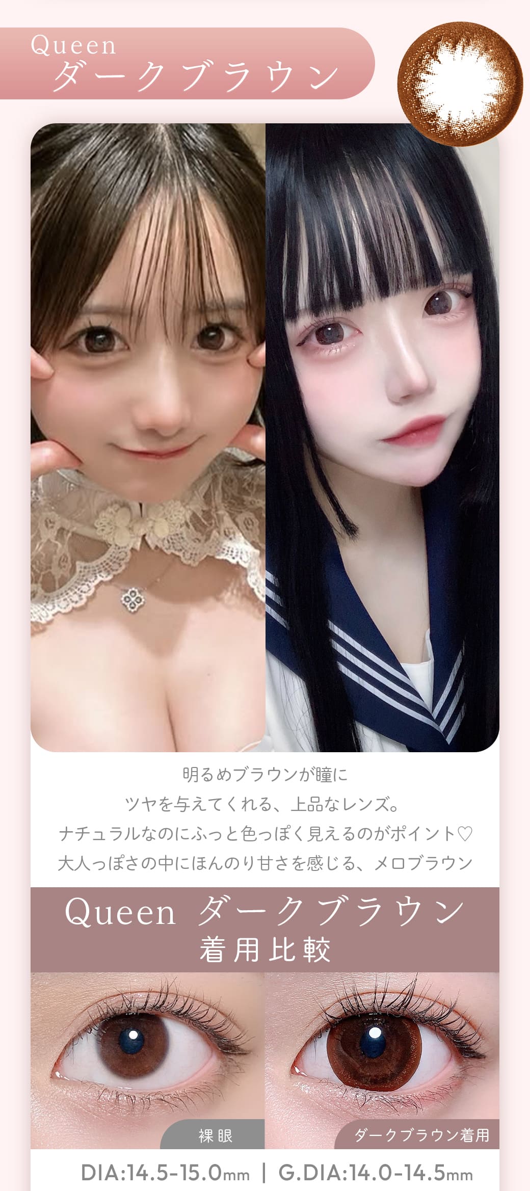 Queen ダークブラウン