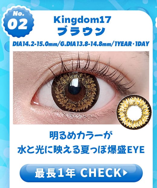Kingdom17ブラウン1年使用