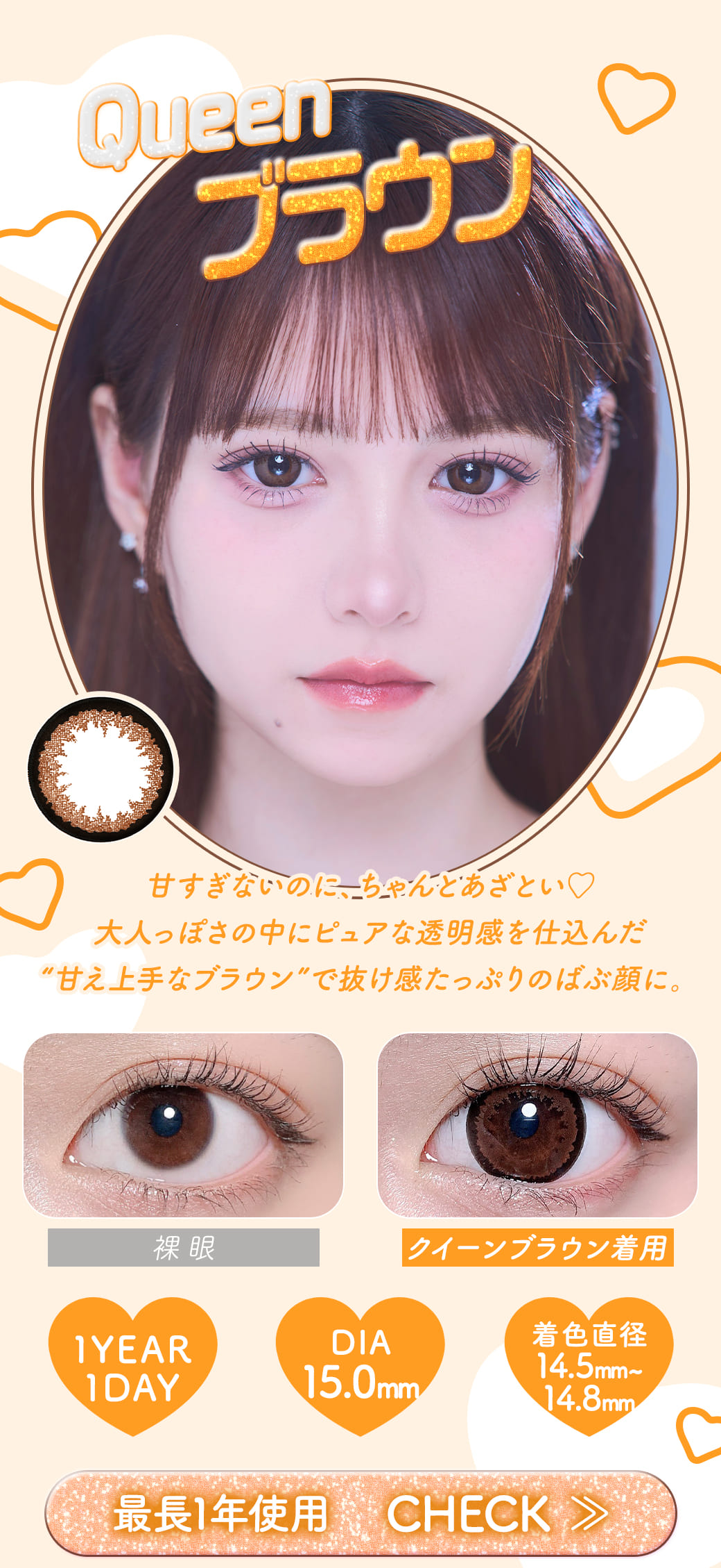クイーンQueenブラウン1年使用