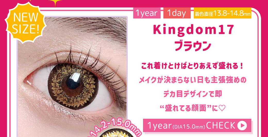 Kingdom17ブラウン1年使用
