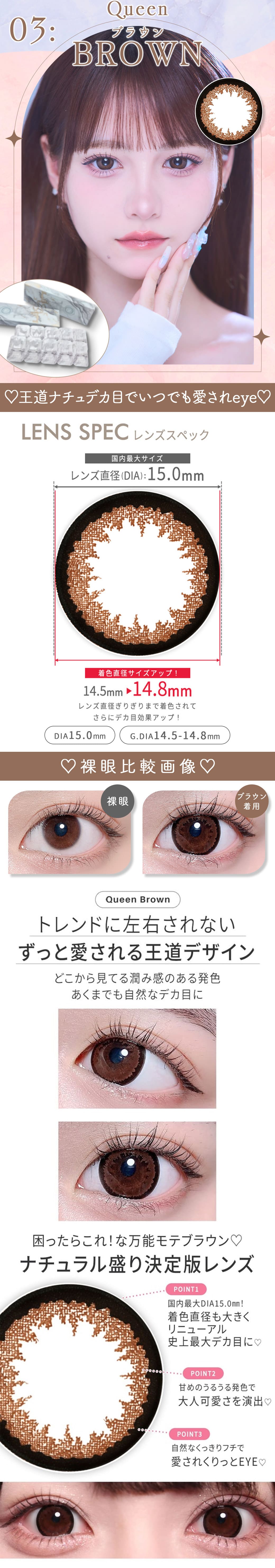 Queenブラウン