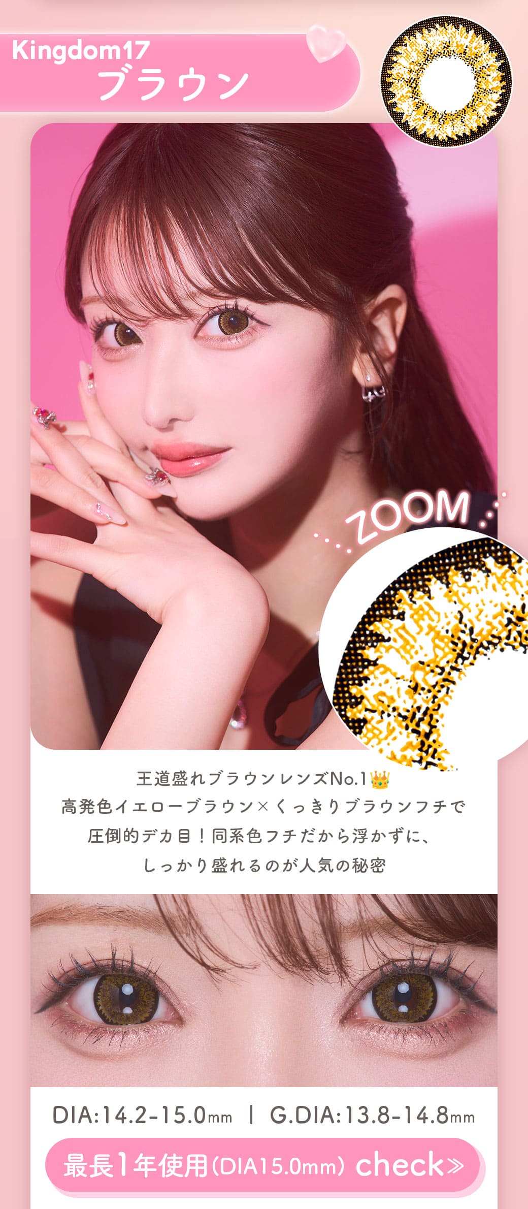 Kingdom17ブラウン1年15.0