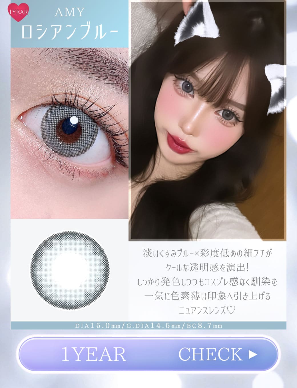 AMY　ロシアンブルー