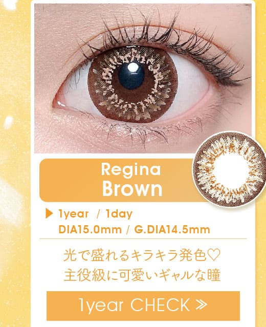 Reginaレジーナブラウン1年使用