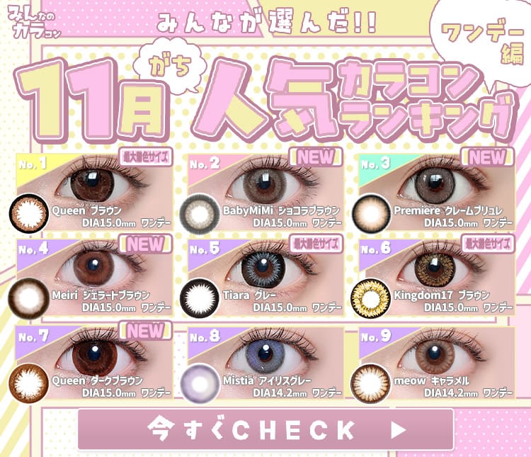 11月ワンデーランキング