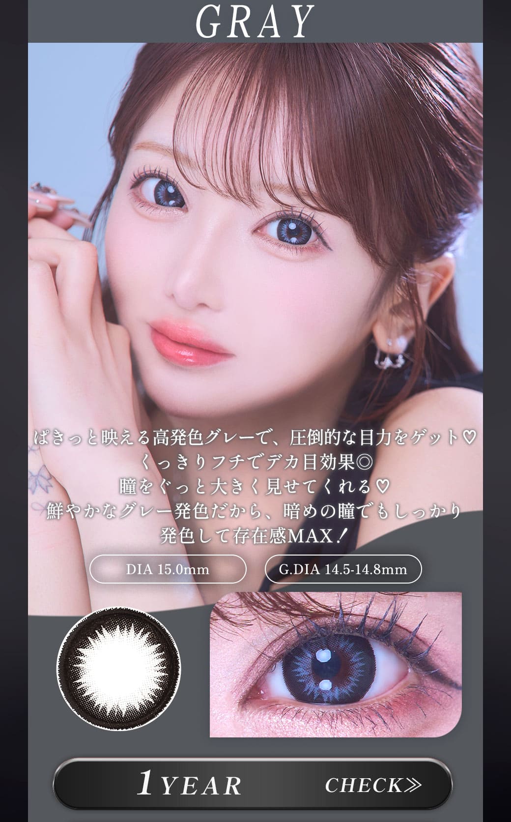 Tiara　グレー　1年