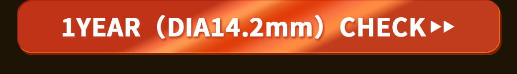 キングダムKingdom17ブラウン1年