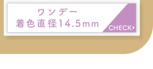 Kingdom17ブラウン1day