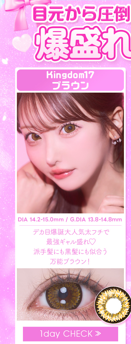Kingdom17ブラウン1day