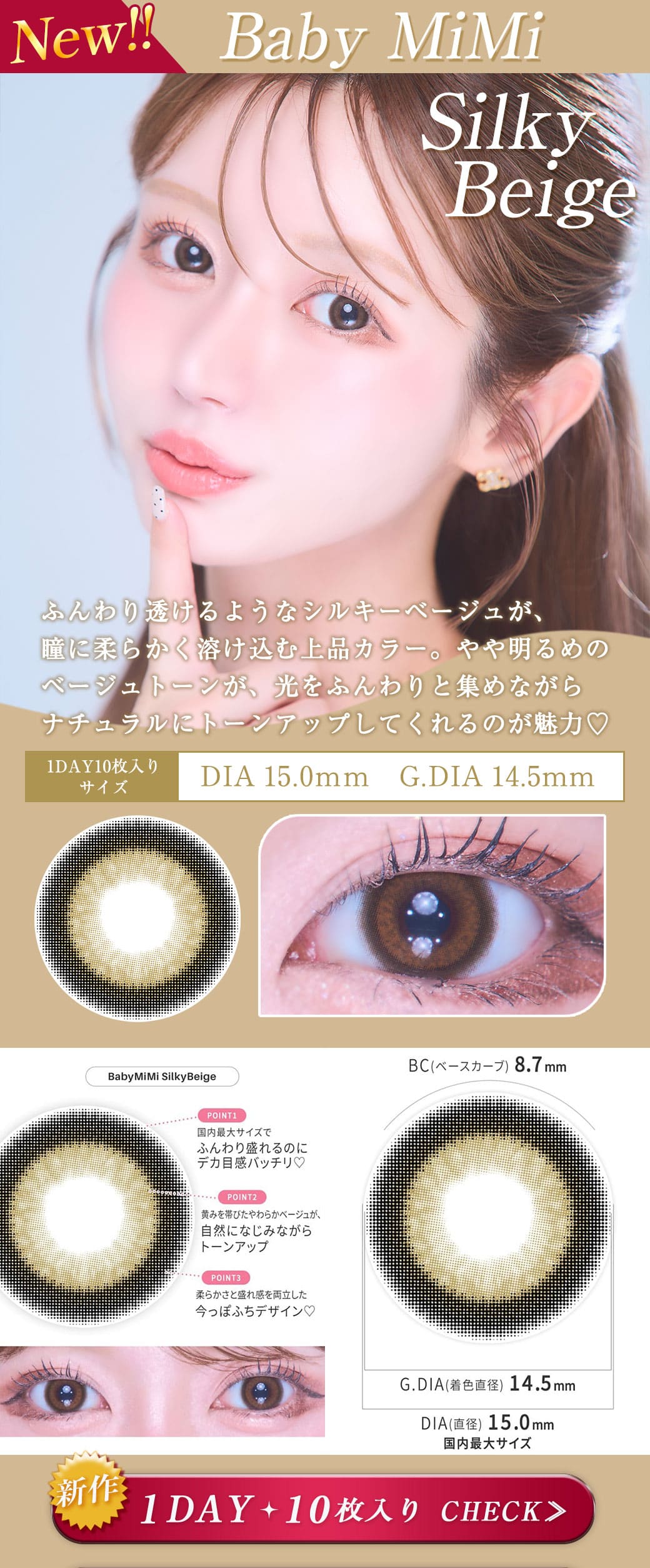 Queenブラウン1年15mm