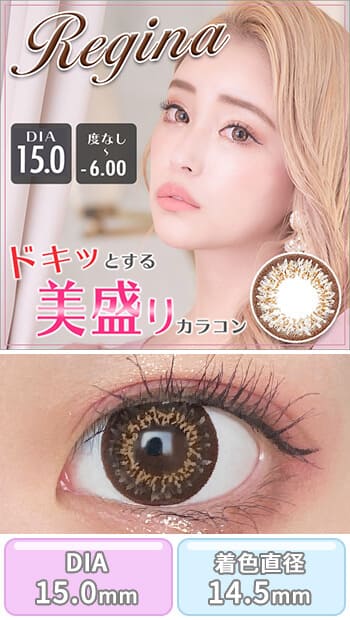 ワンデーレジーナ [1day Regina] DIA15.0mm【24枚(1箱12枚ずつ)】ブラウンカラコン