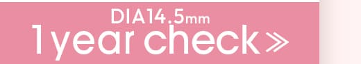 Queen ダークブラウン1DAY