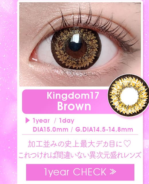 キングダムKingdom17ブラウン1年使用