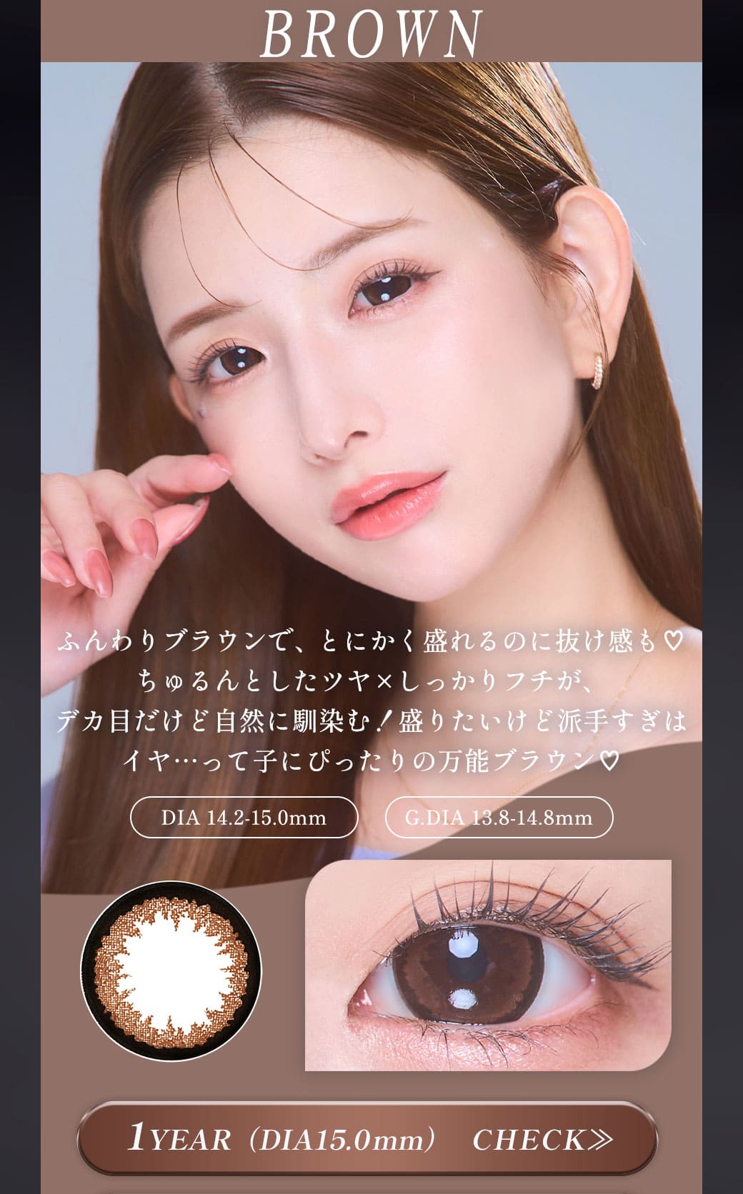 Queen　ブラウン1年15mm