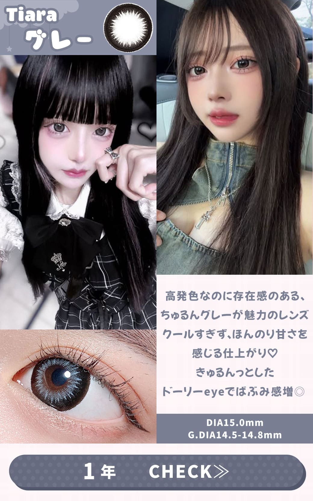 Tiara グレー1年