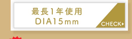 Kingdom17ブラウン1年