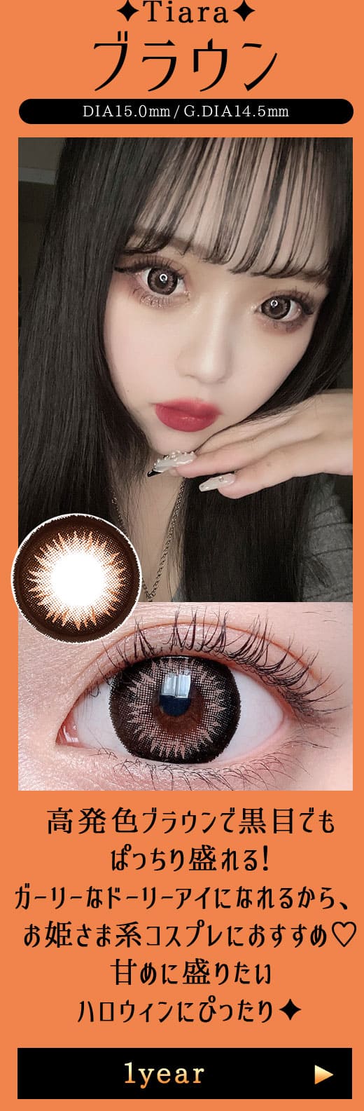 Tiaraブラウン1年