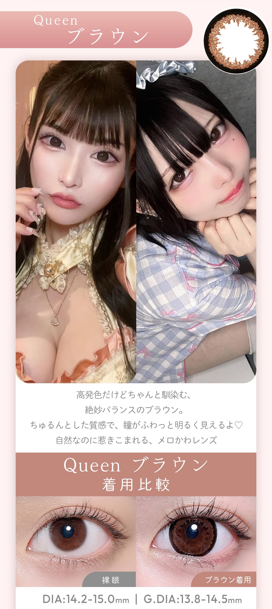 Queenブラウン